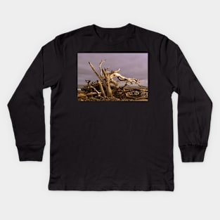 Stark Branches of Driftwood against Gray Sky Kids Long Sleeve T-Shirt